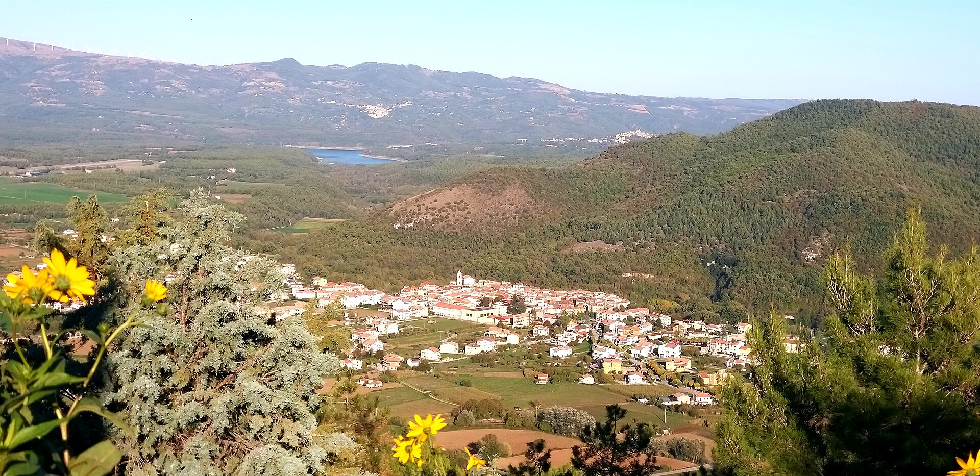 Sarconi
